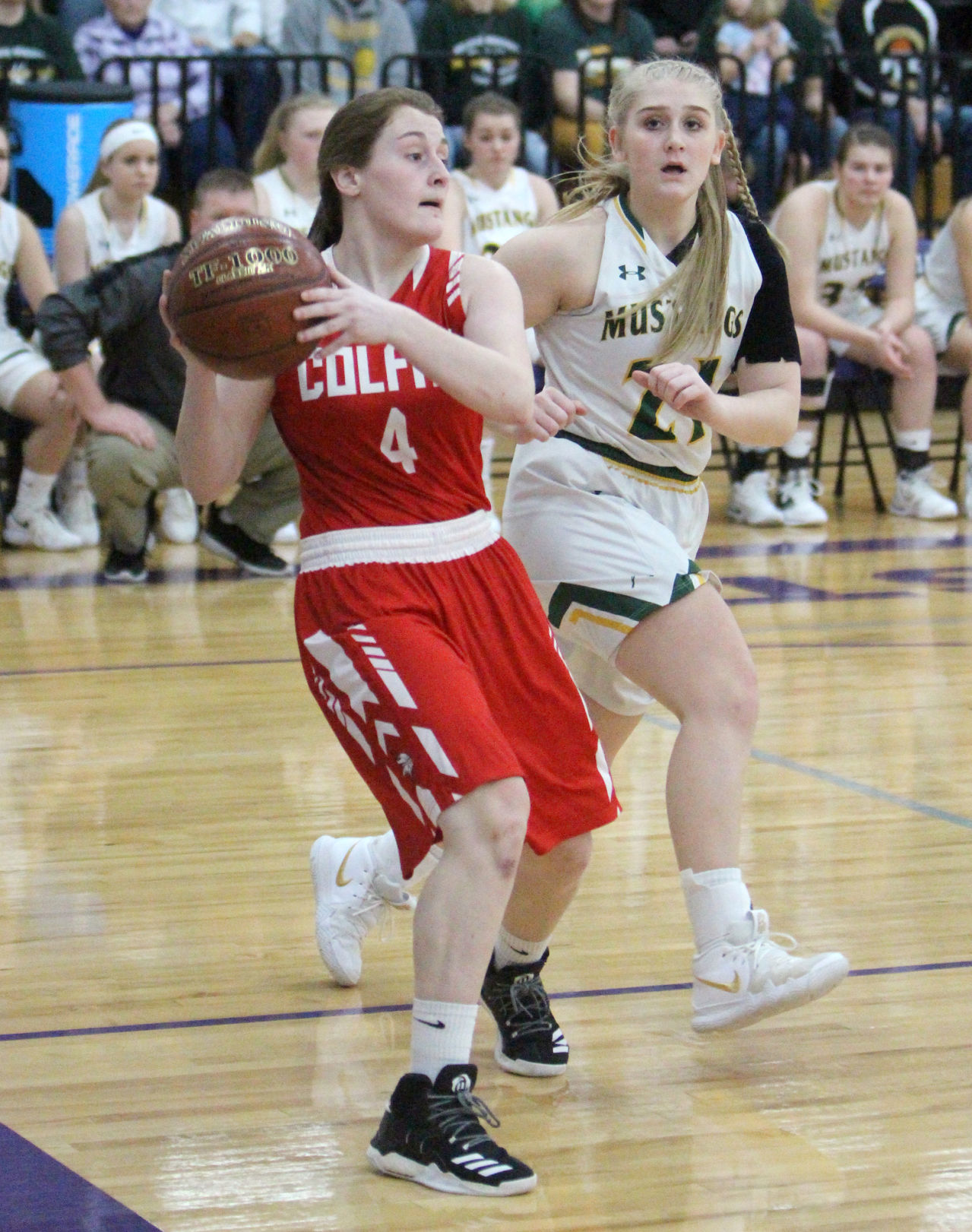 Colfax vs Melrose-Mindoro girls basketball 3-2-19